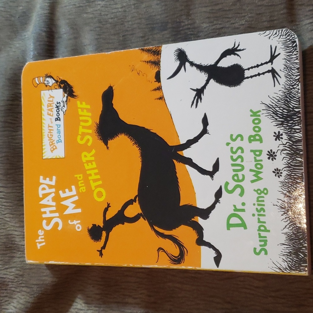 The Shape of Me and Other Stuff word boardbook